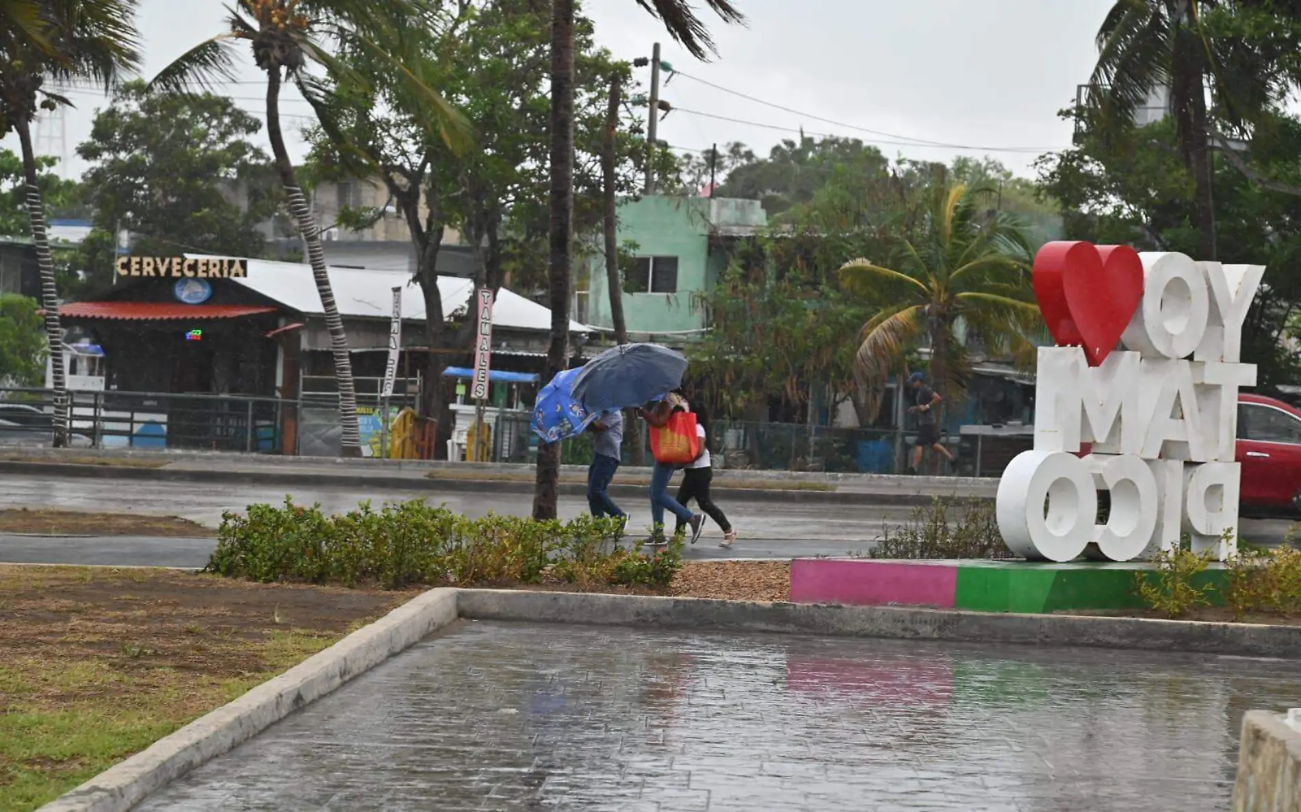 Tras el paso de la tormenta Alberto solo 15 municipios de Tamaulipas reanudarán clases presenciales este lunes Alejandro del Ángell